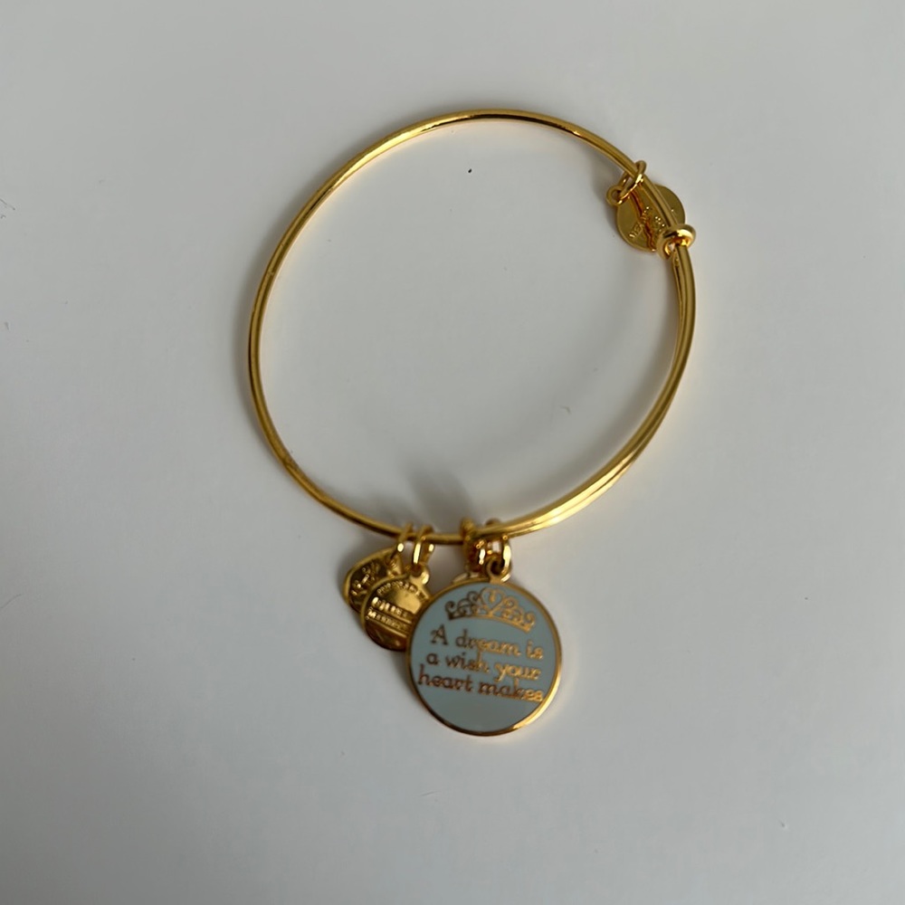 ALEX AND ANI DISNEY